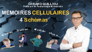 La libration de mmoires,  tous les ges
